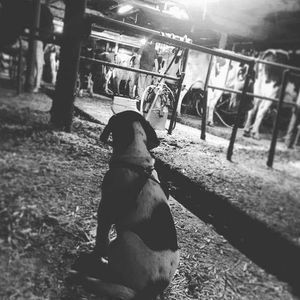 Meet your Posher, Matthew